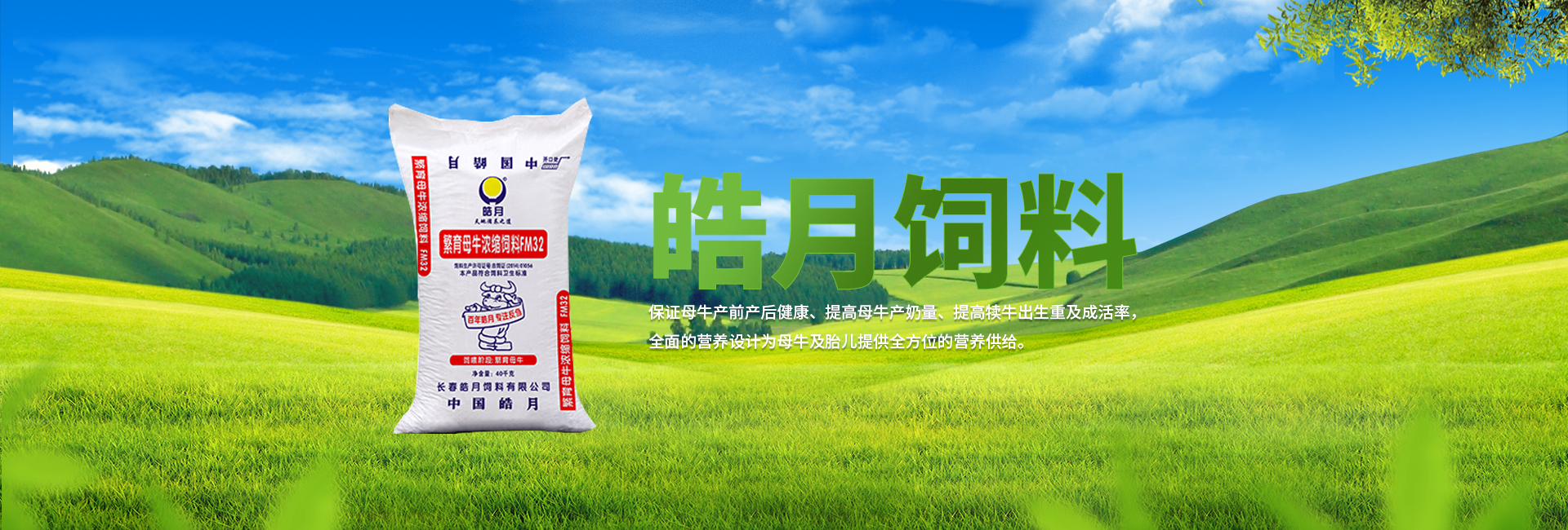包裝鐵桶